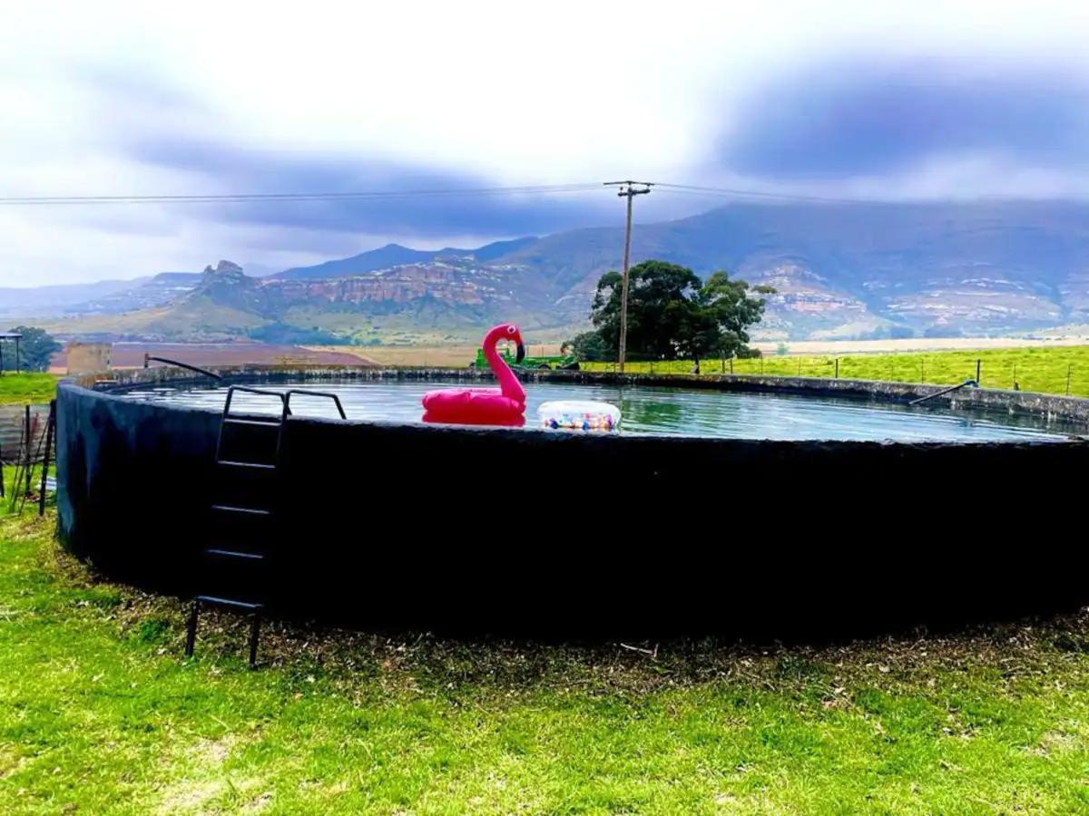 Boschhoek, Eclectic Farm * Clarens